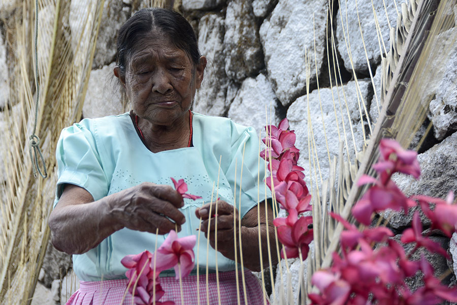 El municipio de Panchimalco, ubicado al sur de San Salvador, celebró la fiesta de las flores y palmas, una mezcla de tradiciones de la religión católica y la precolombina, en la que se da gracias por el inicio de la temporada de lluvias con una procesión llena de color y fe.