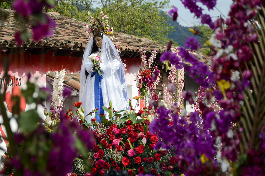 El municipio de Panchimalco, ubicado al sur de San Salvador, celebró la fiesta de las flores y palmas, una mezcla de tradiciones de la religión católica y la precolombina, en la que se da gracias por el inicio de la temporada de lluvias con una procesión llena de color y fe.