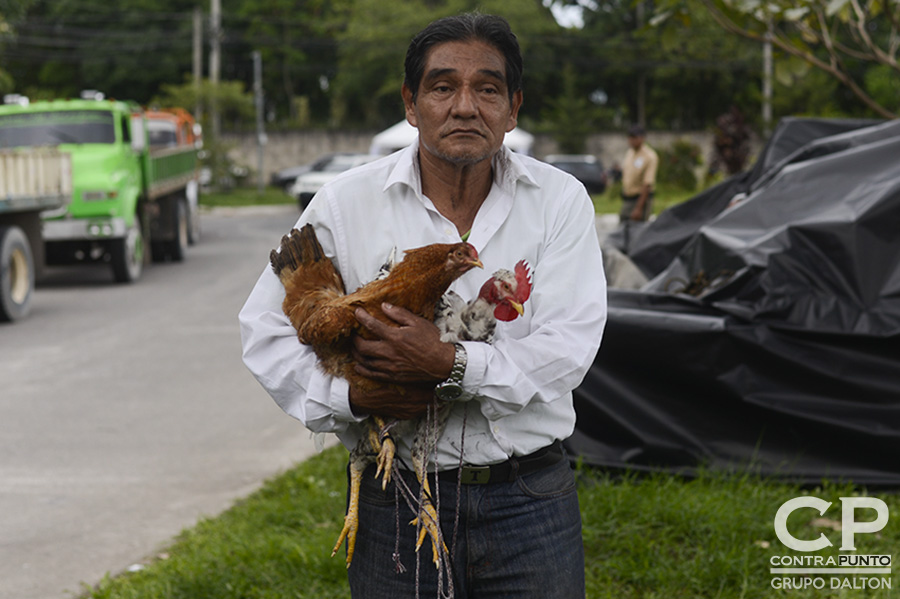 René Sánchez carga dos de sus animales de crianza mientras espera que carguen el camión que llevará sus cosas a casa de su hijo, en San Juan Opico. René vivió en la Comunidad El Espino desde 1974.