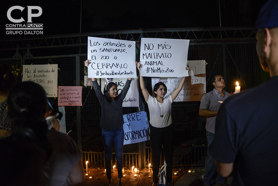 Un grupo de ciudadanos protestaron a las afueras del Parque Zoológico Nacional luego que se informara de la muerte del hipopótamo Gustativo, que se presume fue atacado por sujetos desconocidos, causándoles graves heridas. Foto: Vladimir Chicas