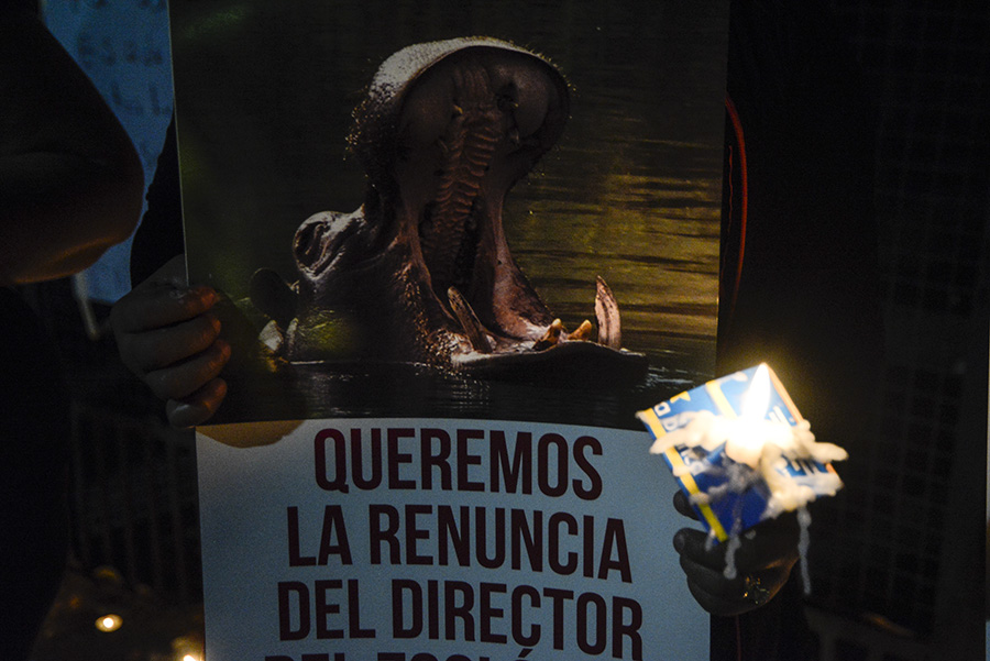 Un grupo de ciudadanos protestaron a las afueras del Parque Zoológico Nacional luego que se informara de la muerte del hipopótamo Gustativo, que se presume fue atacado por sujetos desconocidos, causándoles graves heridas. Foto: Vladimir Chicas