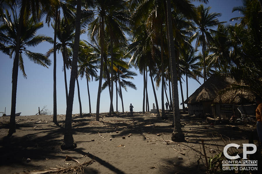 Comunidades organizadas trabajan en la protección  del manglar Garita Palmera, San Francisco Menéndez, Ahuachapán, afectado por el desvÃ­o de los afluentes de agua dulce, hecho por las empresas cañeras que excavan pozos en el lugar.