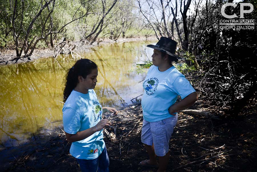 El manglar de El Botoncillo ha sido afectado por la sequÃ­a, por lo que miembros del Comité Microcuenca El Aguacate trabajan en su protección. Comunidades organizadas trabajan en la protección  del manglar Garita Palmera, San Francisco Menéndez, Ahuachapán, afectado por el desvÃ­o de los afluentes de agua dulce, hecho por las empresas cañeras que excavan pozos en el lugar.