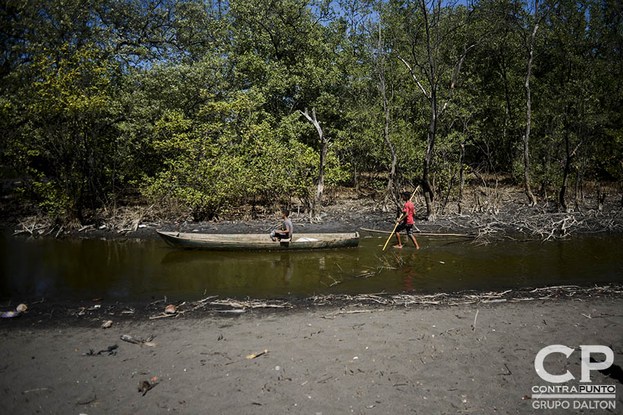 El manglar de El Botoncillo ha sido afectado por la sequÃ­a, por lo que miembros del Comité Microcuenca El Aguacate trabajan en su protección. Comunidades organizadas trabajan en la protección  del manglar Garita Palmera, San Francisco Menéndez, Ahuachapán, afectado por el desvÃ­o de los afluentes de agua dulce, hecho por las empresas cañeras que excavan pozos en el lugar.