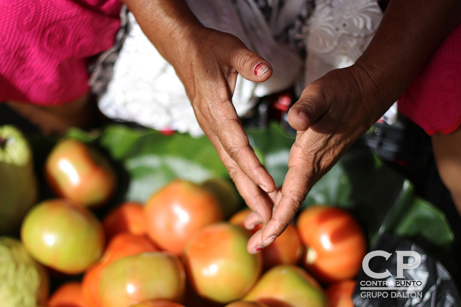 Manos que trabajan entre frutas y verduras.