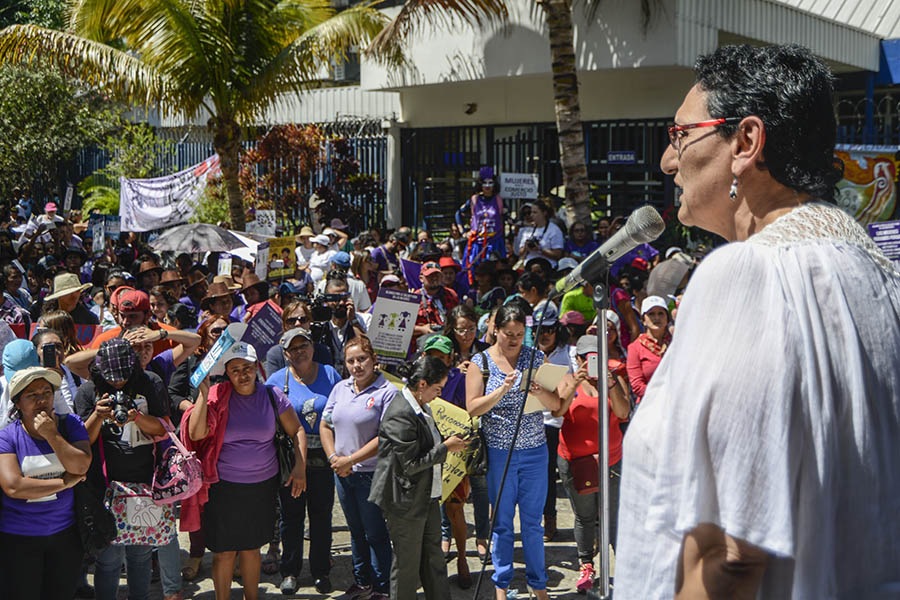 La diputada por el FMLN, Lorena Peña, reiteró en la conmemoración sobre la necesidad de aprobar la enmienda al Código Penal que permitirÃ­a la  despenalización del aborto en casos de violación sexual, en casos de malformaciones fetales incompatibles con la vida extrauterina y cuando el embarazo ponga la salud y vida de la mujer en riesgo.