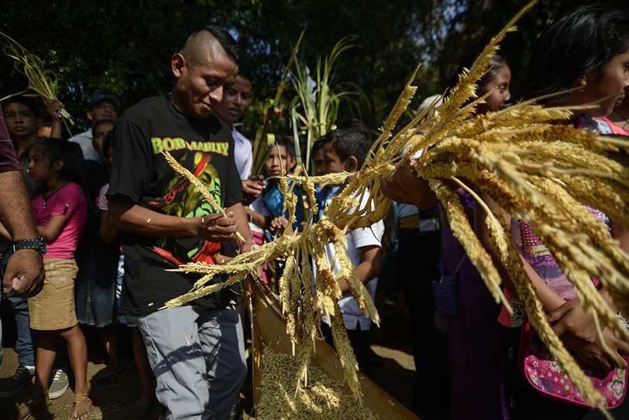Los habitantes de Nahuizalco, departamento de Sonsonate, conmemoraron el Domingo de Ramos con la tradicional procesión de Las Palmas, dando inicio a las celebraciones de Semana Santa.