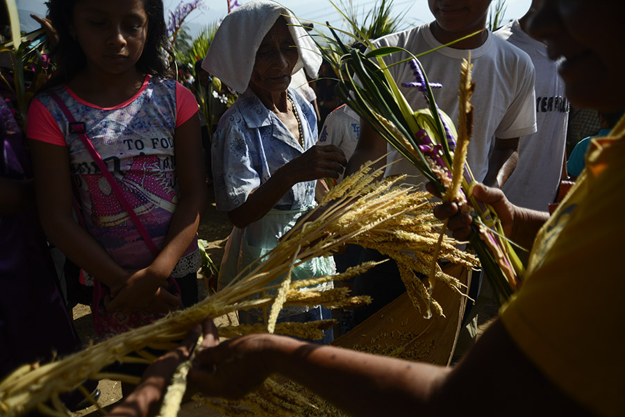 Los habitantes de Nahuizalco, departamento de Sonsonate,  conmemoraron el Domingo de Ramos con la tradicional procesión de Las Palmas, dando inicio  a las celebraciones de Semana Santa.