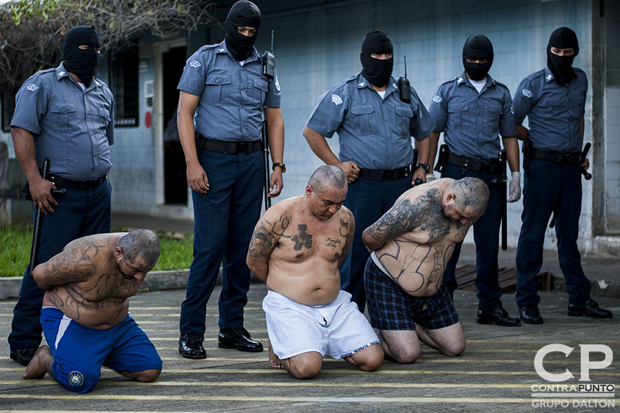 Cinco pandilleros de la Mara Salvatrucha acusados de operativizar las acciones que condujeron al alza de homicidios de las últimas semanas fueron enviados al penal de máxima seguridad.