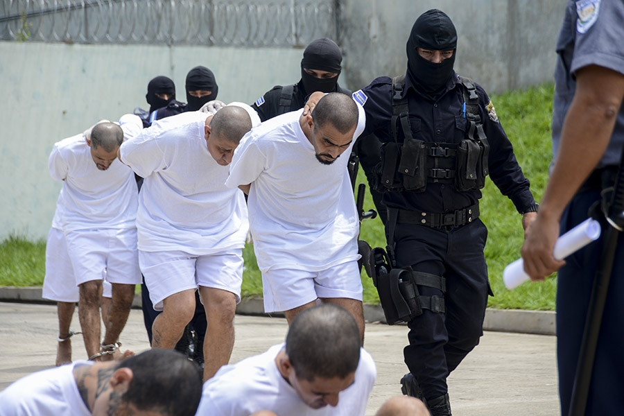 El gobierno salvadoreño trasladó a 40 miembros de la Mara Salvatrucha al penal de máxima seguridad, implicados en el asesinato de miembros disidentes de la estructura criminal que han formado la facción MS503.