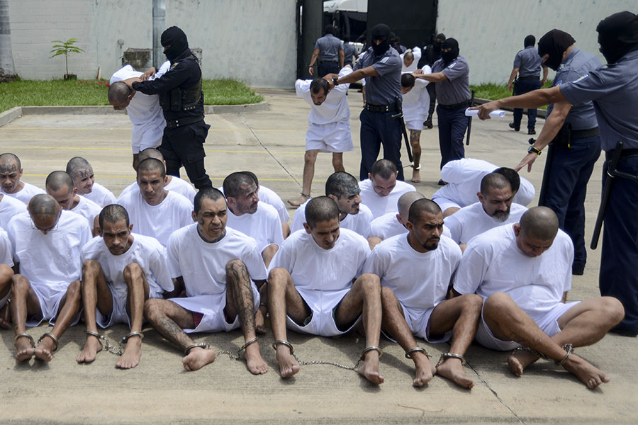 El gobierno salvadoreño trasladó a 40 miembros de la Mara Salvatrucha al penal de máxima seguridad, implicados en el asesinato de miembros disidentes de la estructura criminal que han formado la facción MS503.