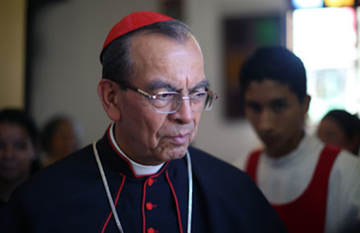 Declaraciones del Cardenal Rosa Chávez
