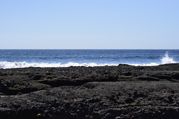 Playa el Zonte es una playa que cuenta con un nivel de olas de primer mundo para practicar el surf.