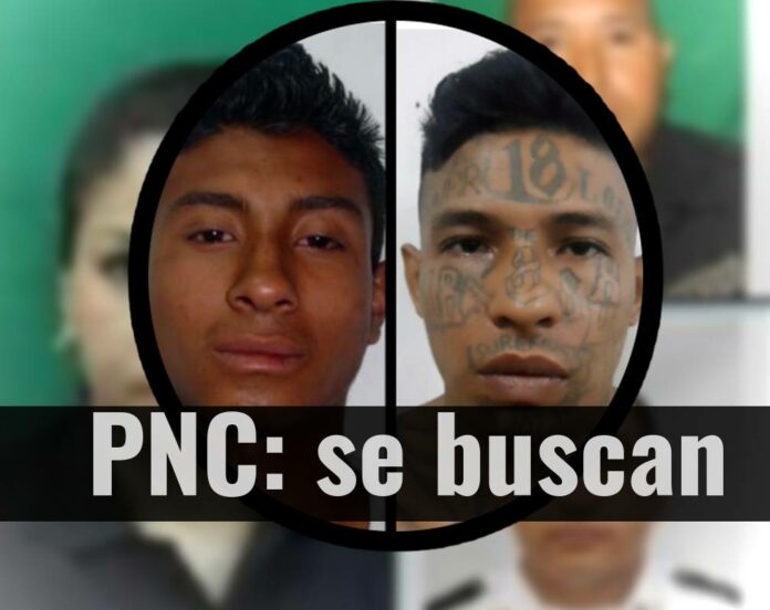 ContraPunto El Salvador - Identifican a 3 presuntos asesinos de 3 policías