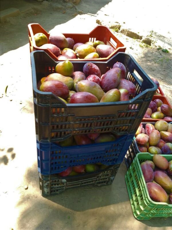 “Este proyecto lo comencé con mi tarjeta de crédito”, dice productora