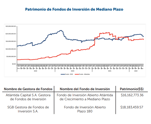 patrimonio de fondos de inversion a mediano plazo