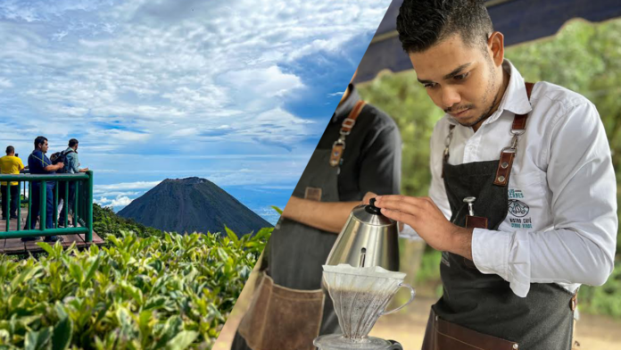 Coffee Experience Cerro Verde