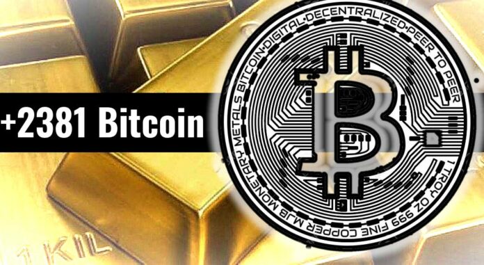 ContraPunto El Salvador - 2,381 unidades BITCOIN, y $80.1 millones en ORO