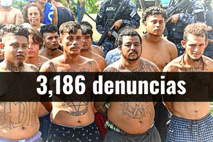 ContraPunto El Salvador - 3,186 denuncias de ONG’s y cerca de 190 días sin homicidios