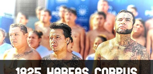 ContraPunto El Salvador - 204 días sin homicidios; 1825 Habeas Corpus y 80 presuntos fallecidos.