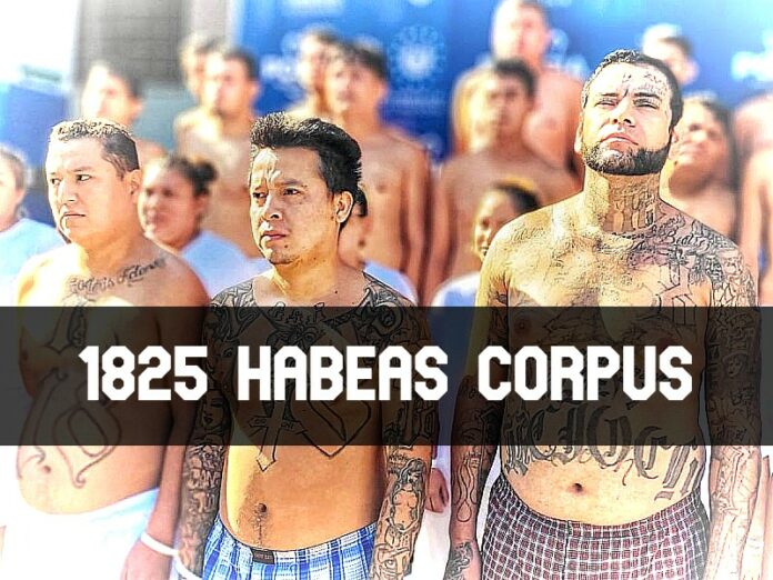 ContraPunto El Salvador - 204 días sin homicidios; 1825 Habeas Corpus y 80 presuntos fallecidos.