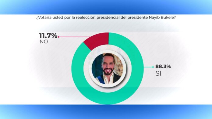 ContraPunto El Salvador - 88.3% de la población, a favor de reelección de Bukele