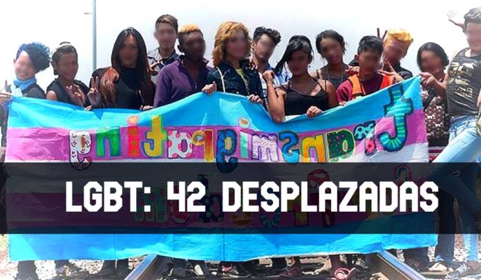 ContraPunto El Salvador - 67.9% de personas LGBT forzadas a desplazarse por sociedad y pandillas