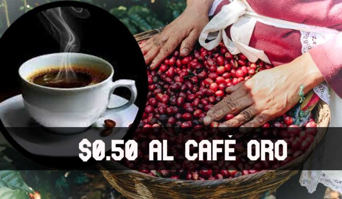 ContraPunto El Salvador - $0.50 por cada quintal de Café Oro ayudará a la industria