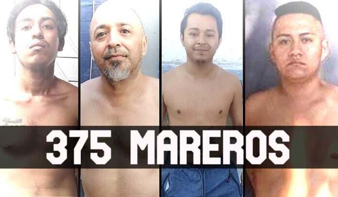 ContraPunto El Salvador - 375 mareros caen en Cerco Soyapango y más de 250 días sin homicidios