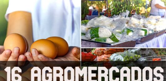 ContraPunto El Salvador - 16 AgroMercados abren, contra la inflación