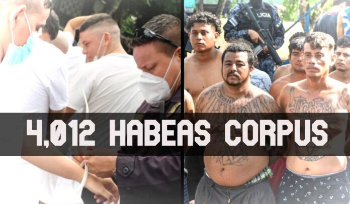 ContraPunto El Salvador - 313 días sin homicidios. Hay 4,012 Habeas Corpus