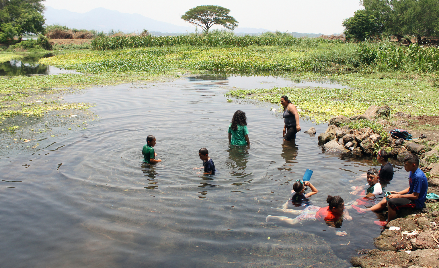 Biólogo de la UES, realiza reconocimiento de Especies Vegetales en