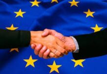Gestión de la entropía en los proyectos de cooperación de la Unión Europea